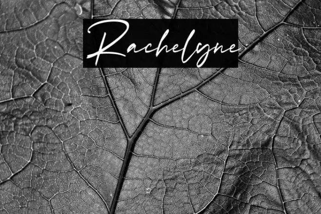 Rachelyne Font examples