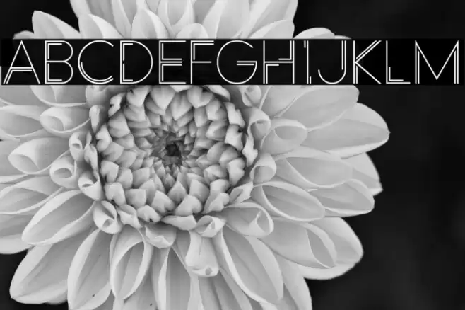 Racheto Font examples