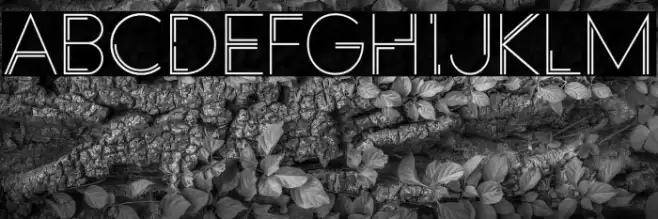 Racheto Font examples