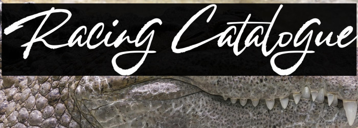 Racing Catalogue Example 2
