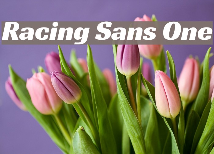 Racing Sans One Font examples