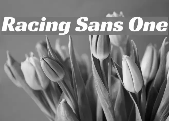 Racing Sans One Font examples