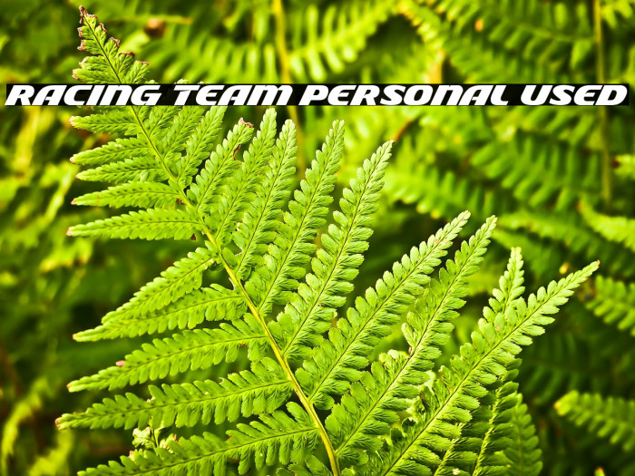 Racing Team Personal Used Example 2
