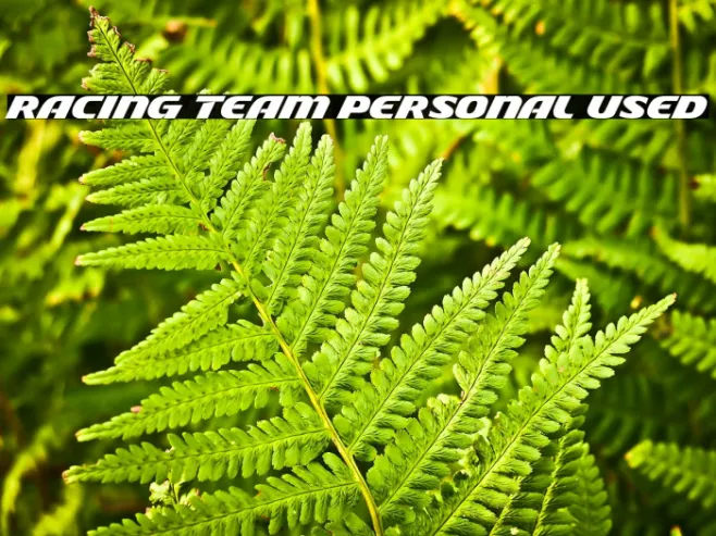 Racing Team Personal Used Example 2