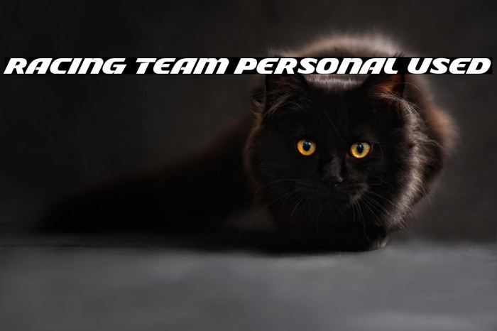 Racing Team Personal Used Example 3