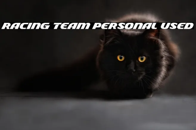 Racing Team Personal Used Example 3