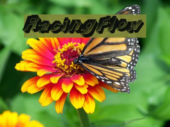 RacingFlow Example 2