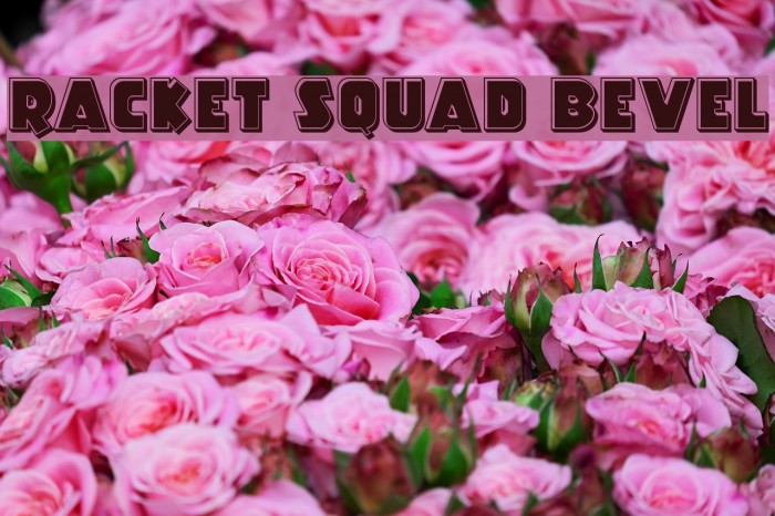 Racket Squad Bevel Font examples