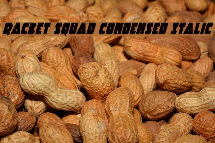Racket Squad Condensed Italic Font examples