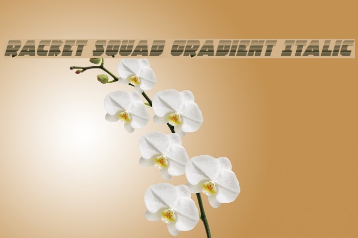 Racket Squad Gradient Italic Font examples