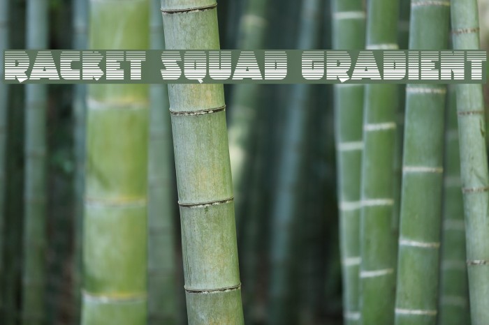 Racket Squad Gradient Font examples