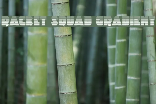 Racket Squad Gradient Example 1