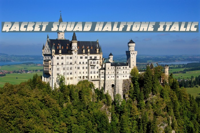 Racket Squad Halftone Italic Font examples