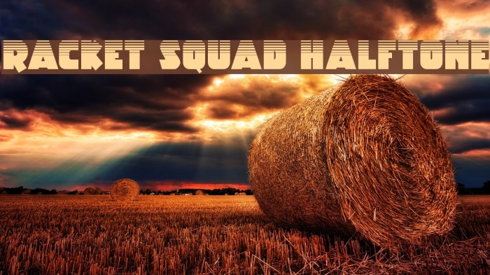 Racket Squad Halftone Example 3