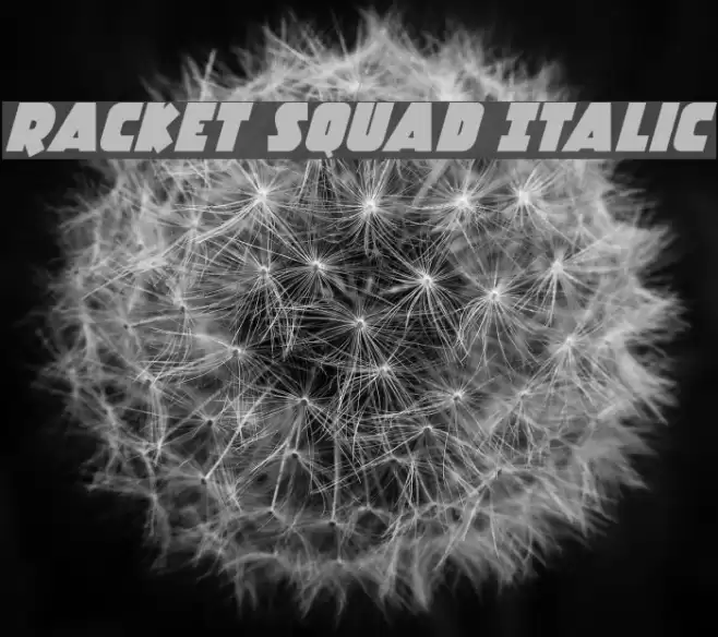 Racket Squad Italic Font examples