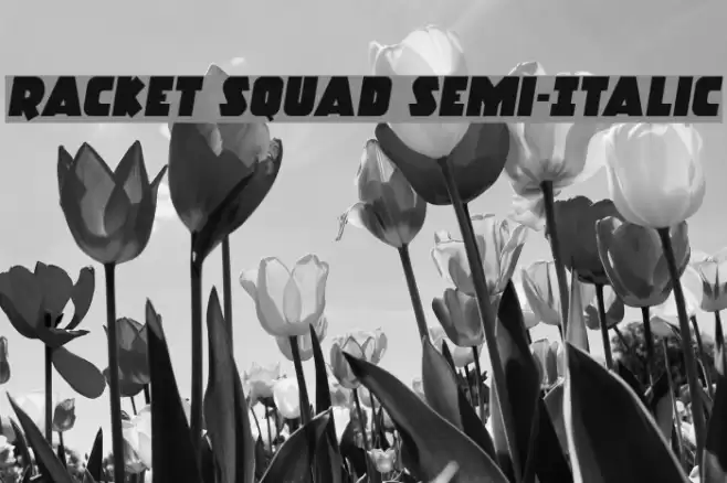 Racket Squad Semi-Italic Font examples