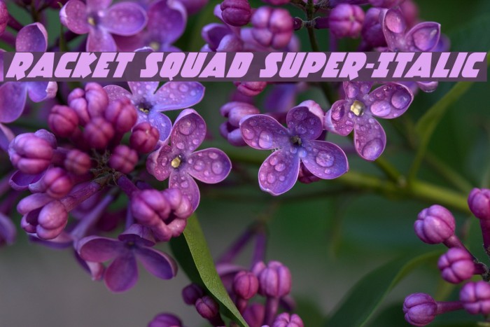 Racket Squad Super-Italic Font examples