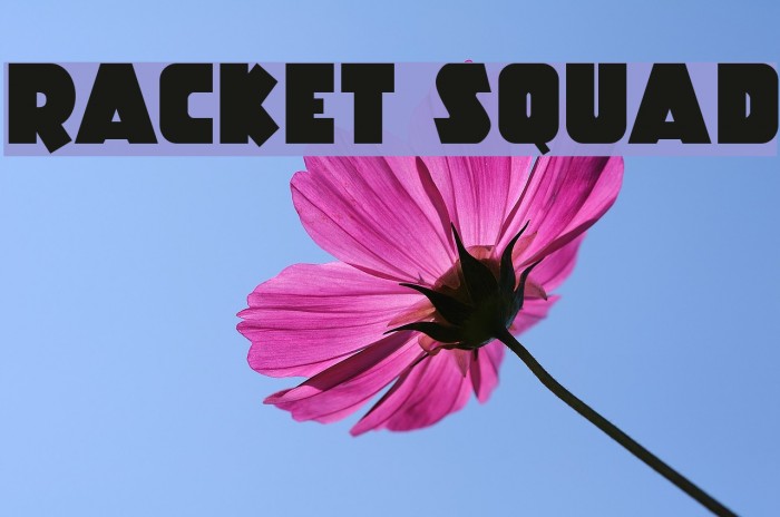 Racket Squad Example 2