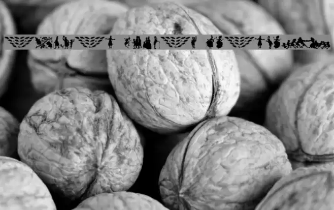 Rackham Holiday Ornament フォント examples