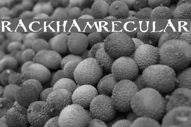 Rackham Regular Font examples