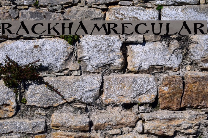 Rackham Regular Font examples