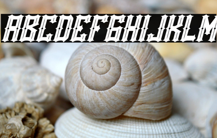 Rackles Italic Example 3