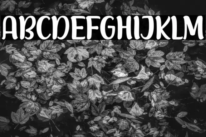 Racy Mango Font examples