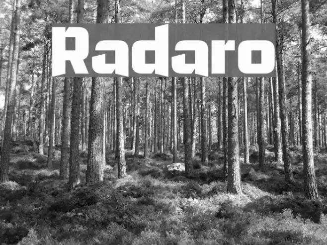 Radaro Font examples