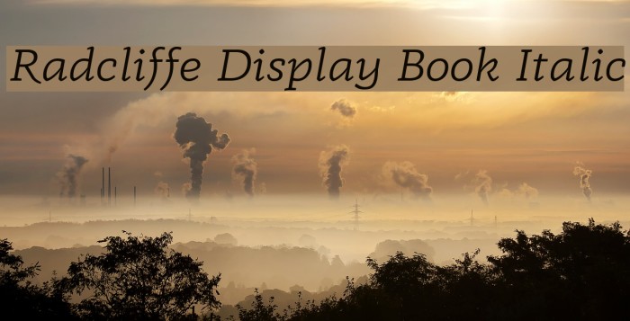 Radcliffe Display Book Italic Font examples