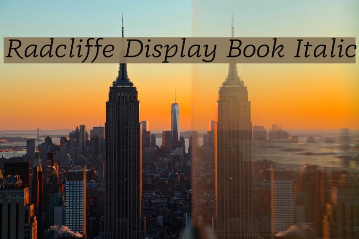 Radcliffe Display Book Italic Font examples