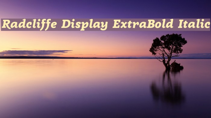 Radcliffe Display ExtraBold Italic Font examples