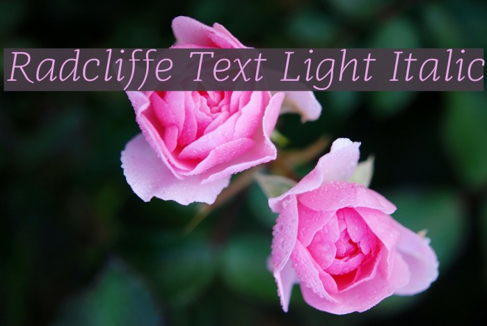 Radcliffe Text Light Italic Example 2
