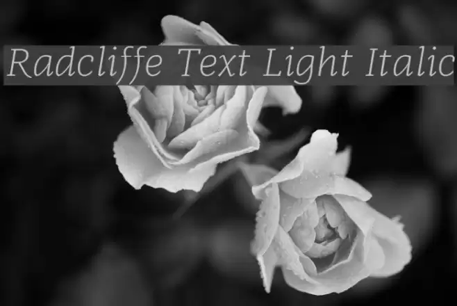 Radcliffe Text Light Italic Font examples