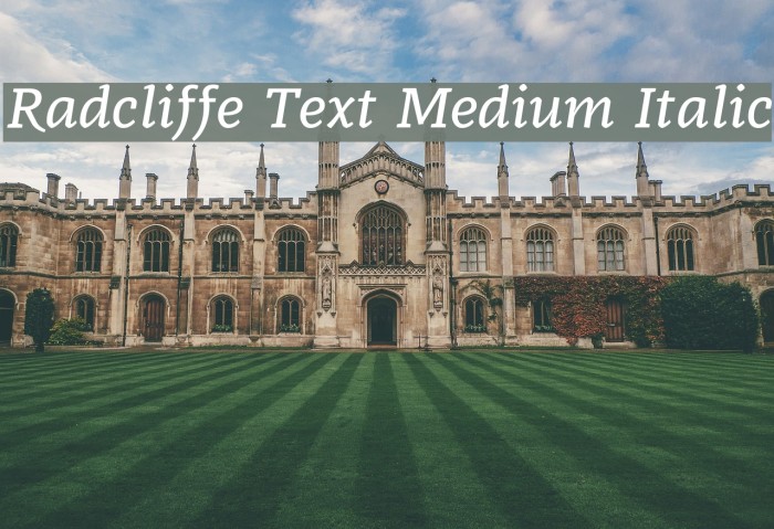 Radcliffe Text Medium Italic Font examples