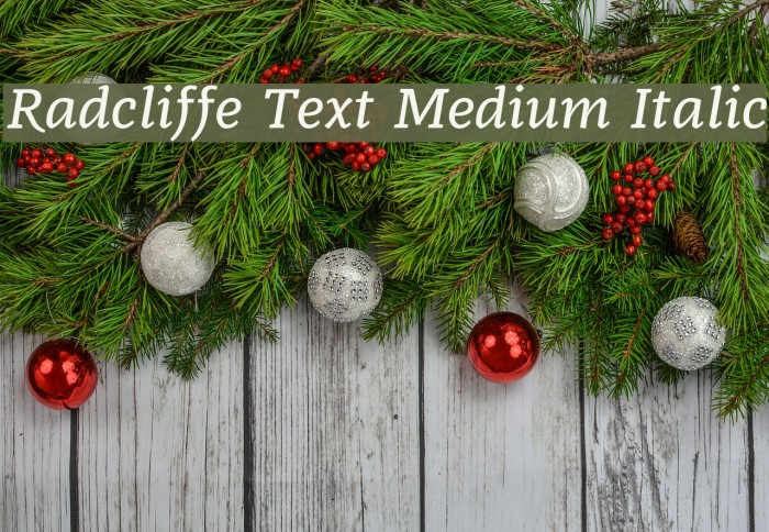 Radcliffe Text Medium Italic Font examples