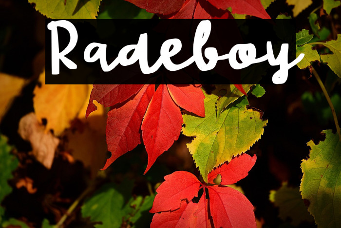 Radeboy Example 1