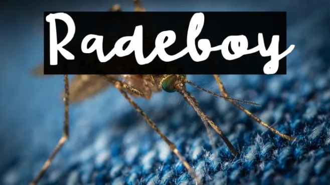 Radeboy Example 2