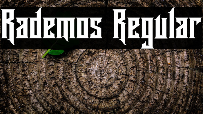 Rademos Regular Example 1