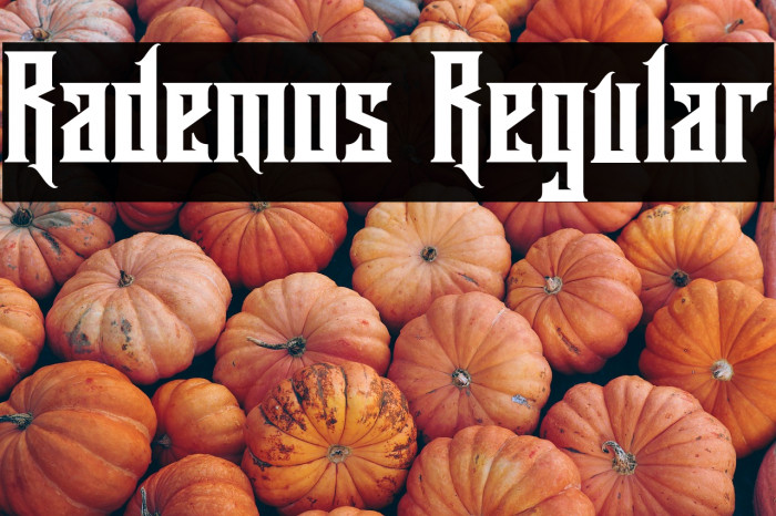 Rademos Regular Example 2