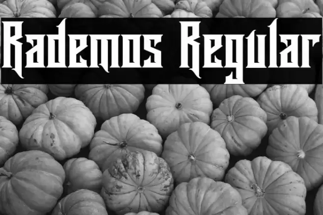 Rademos Regular Font examples