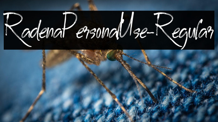 RadenaPersonalUse-Regular Example 2