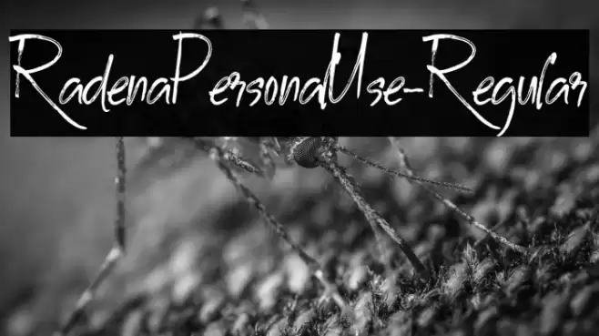 RadenaPersonalUse-Regular Font examples