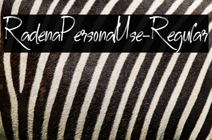 RadenaPersonalUse-Regular Example 3