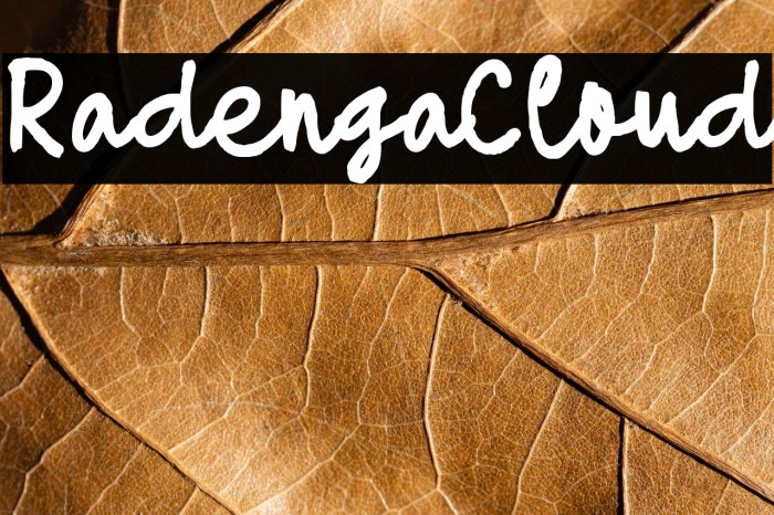 Radenga Cloud Example 2