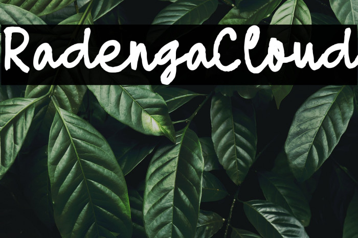 Radenga Cloud Example 3