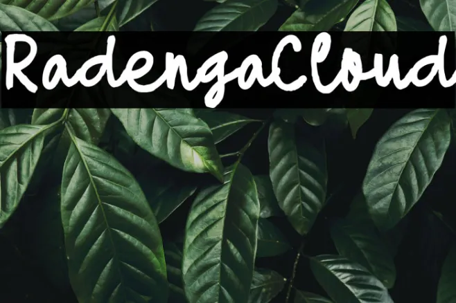 Radenga Cloud Example 3