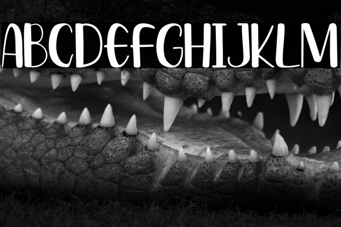 Radens Jockie Example 1