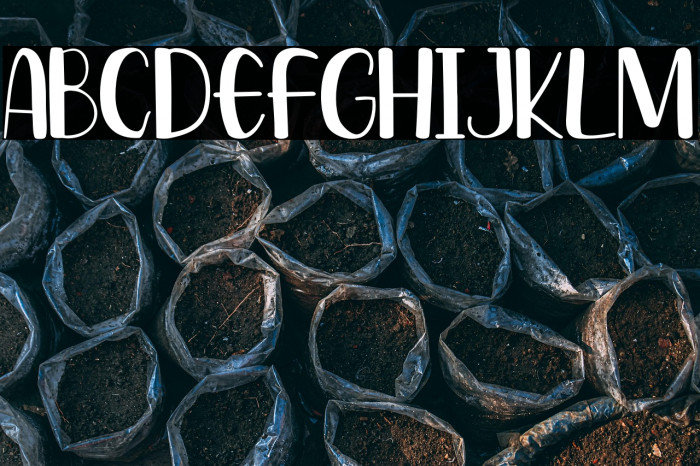 Radens Jockie Example 2