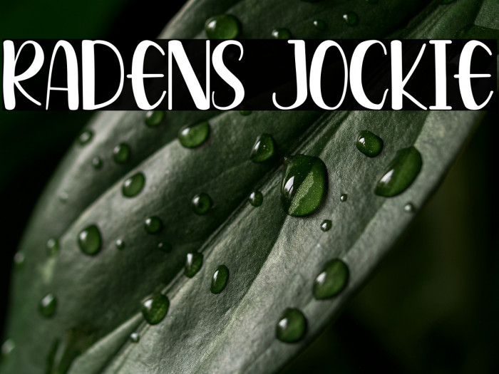Radens Jockie Example 2