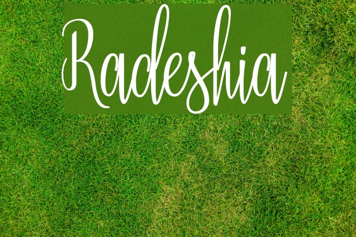 Radeshia Font examples